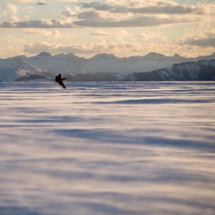 A little solitude. #sanjuanmountains #colorado Photo by @fenlonphoto