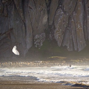 Get Out. Jeremy Lund #kiting #California  Photo by @paullangphoto