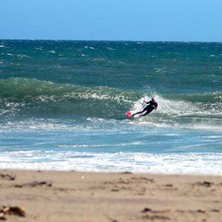  Chasing down the rabbit. Read El Guardian's Elandia expose in the spring issue. Link in our profile. 