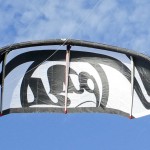 RRD 2011 Obsession Analyze This Kite Review