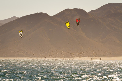 Join a TKB Discover Baja Adventure Trip and Explore Southern Baja, January 12-19 and January 28-February 2, 2013