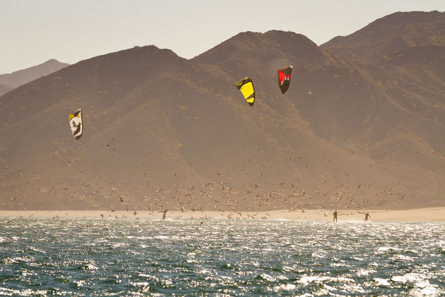 Discover Southern Baja. Photo Jim Stringfellow