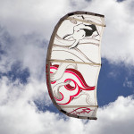 2013-wainman-hawaii-rabbit-white-0386