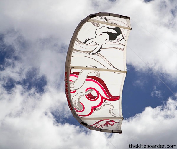 2013-wainman-hawaii-rabbit-white-0386