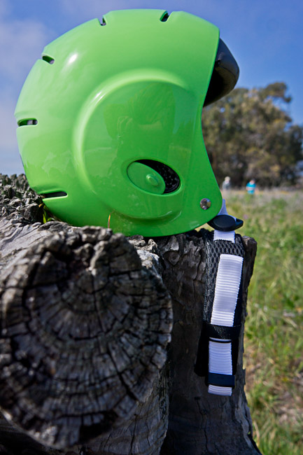 Ocean Dolphin Helmet