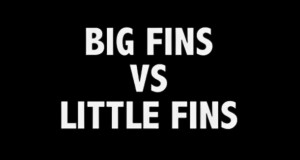 VIDEO: Fin Size Matters.