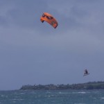 New Wainman Hawaii Kite is Pure Mania