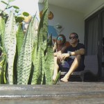 “Trick of the Day” Series