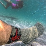 GEAR Review: Swiss Protection Sock