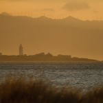 IMG_8436