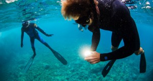 11060044_1599790196934028_8259584122469668187_o