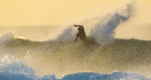 ION-2016-Product-Previews