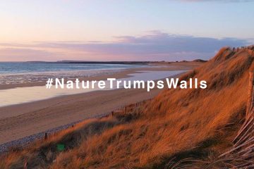naturerumpswalls